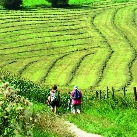 Cosy 8 - Zuid-limburg *