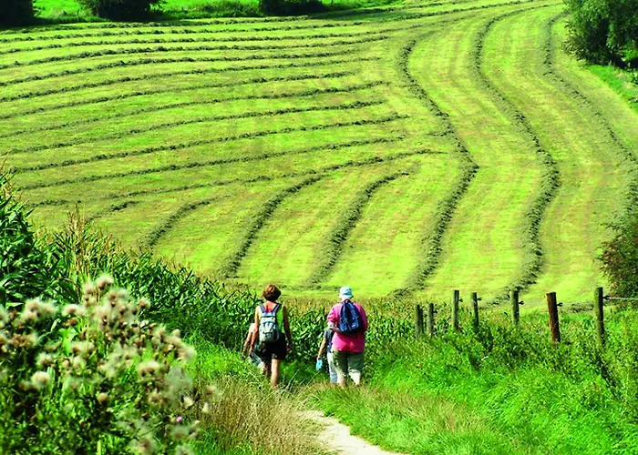 Cosy 8 - Zuid-limburg *